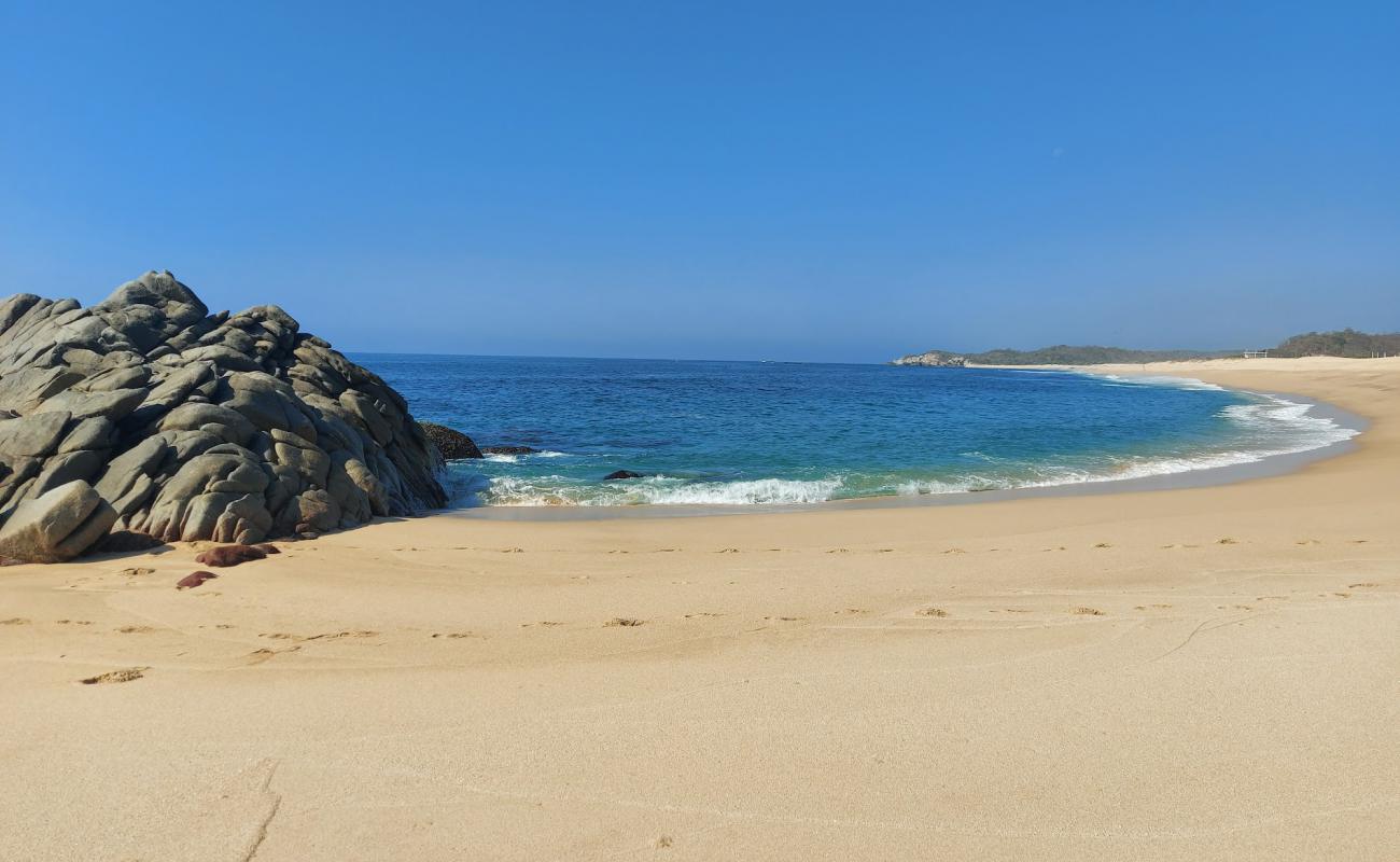 Coyote beach'in fotoğrafı parlak ince kum yüzey ile