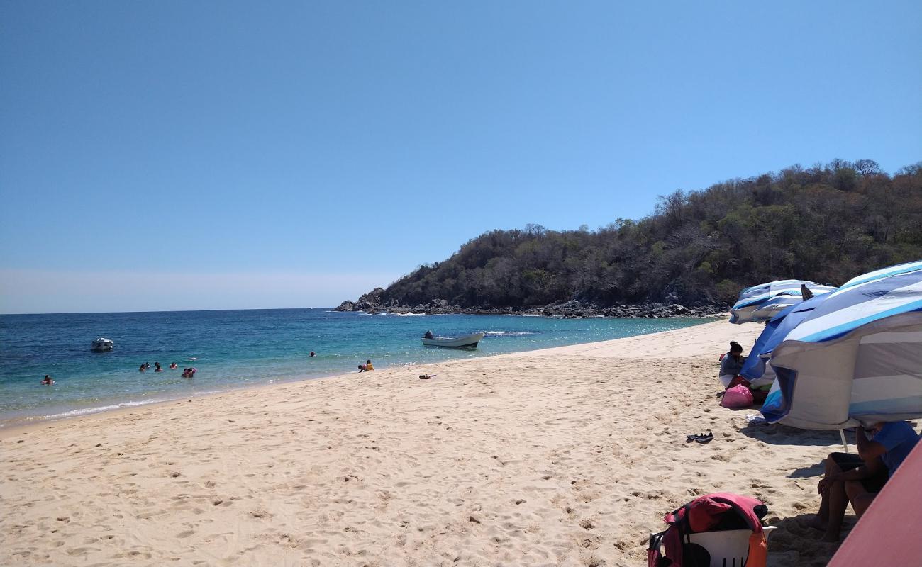 Chachacual beach'in fotoğrafı açık bej kum yüzey ile