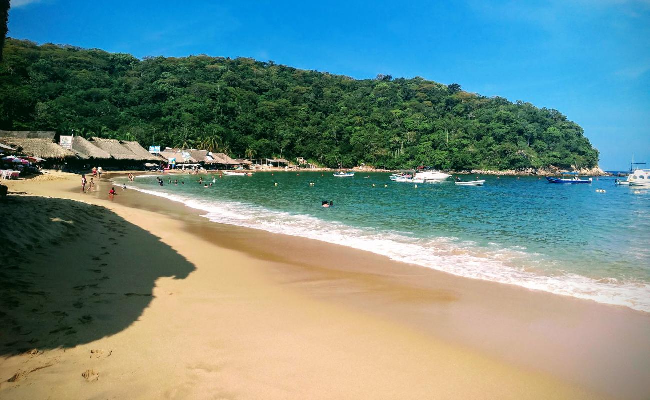 Maguey Plajı'in fotoğrafı i̇nce bej kum yüzey ile