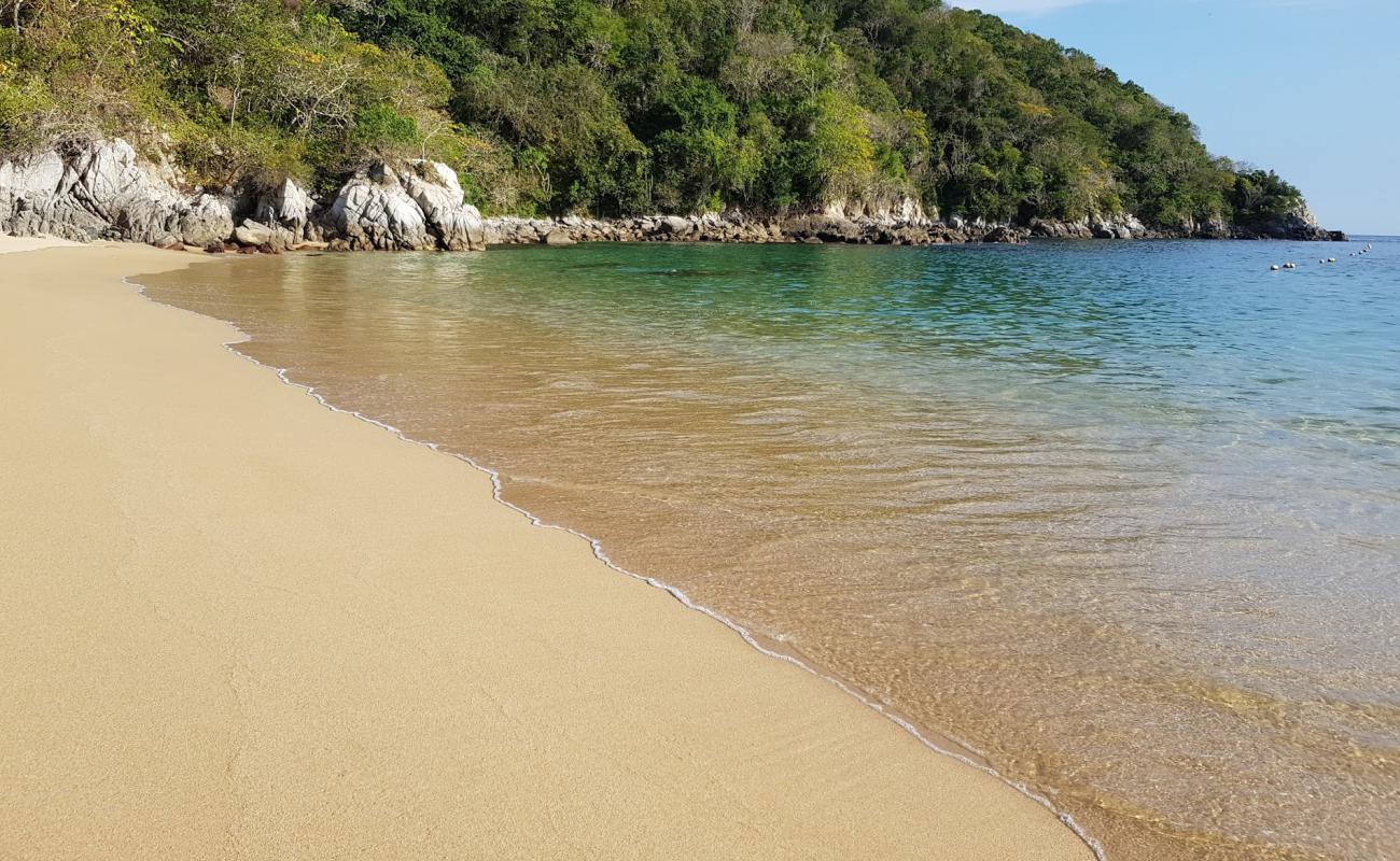 Organo beach'in fotoğrafı i̇nce bej kum yüzey ile