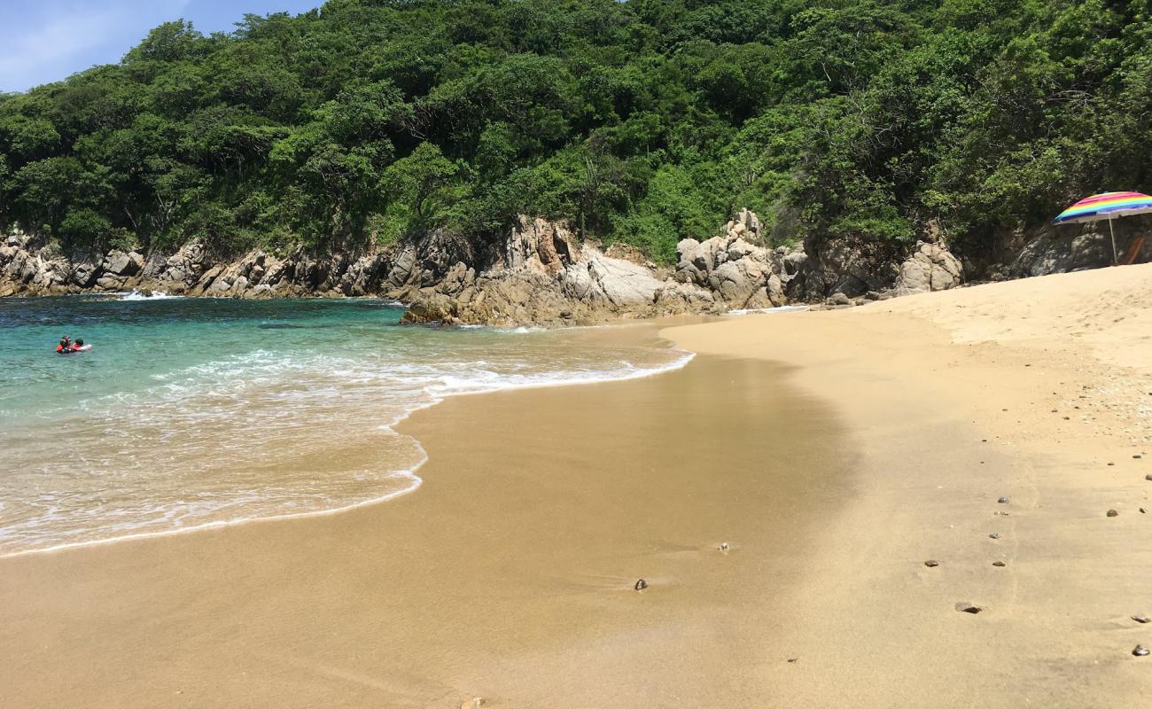 Violin Huatulco beach'in fotoğrafı açık bej kum yüzey ile