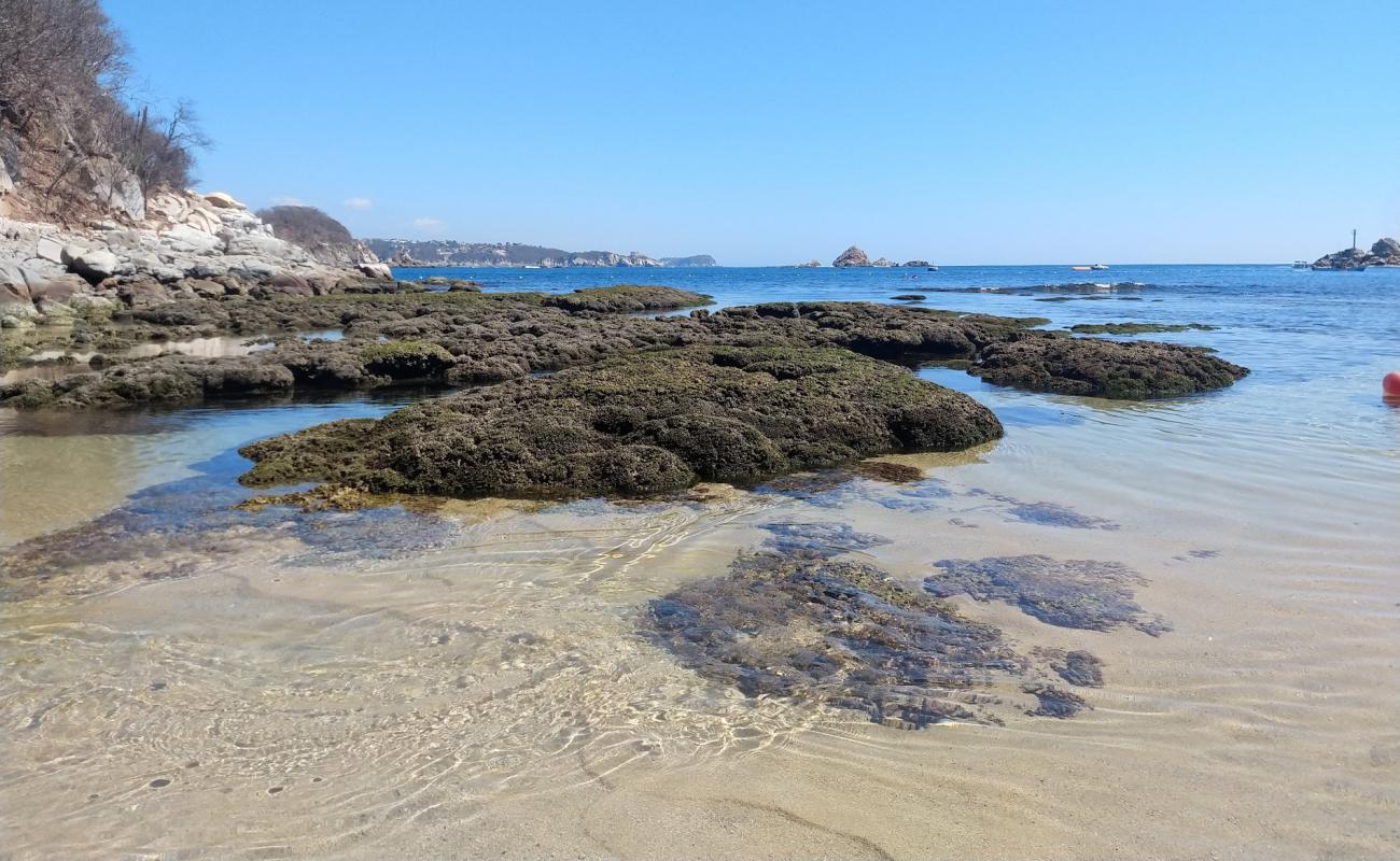 Los Compas beach'in fotoğrafı parlak kum yüzey ile