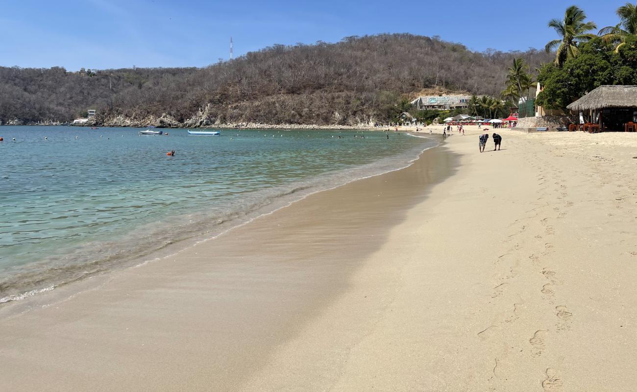 Santa Cruz beach'in fotoğrafı i̇nce bej kum yüzey ile