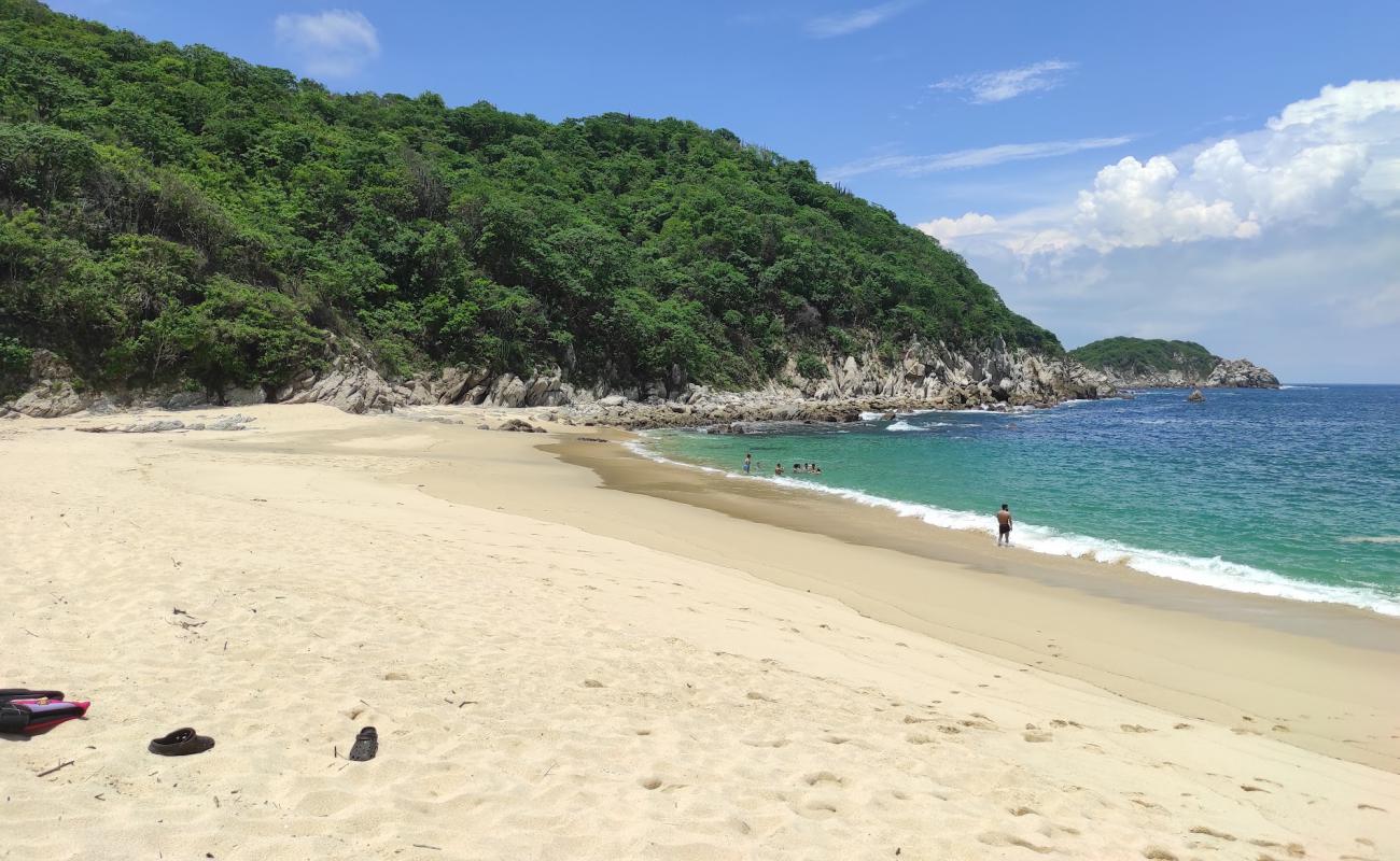 Tejon beach'in fotoğrafı küçük bej çakıl yüzey ile