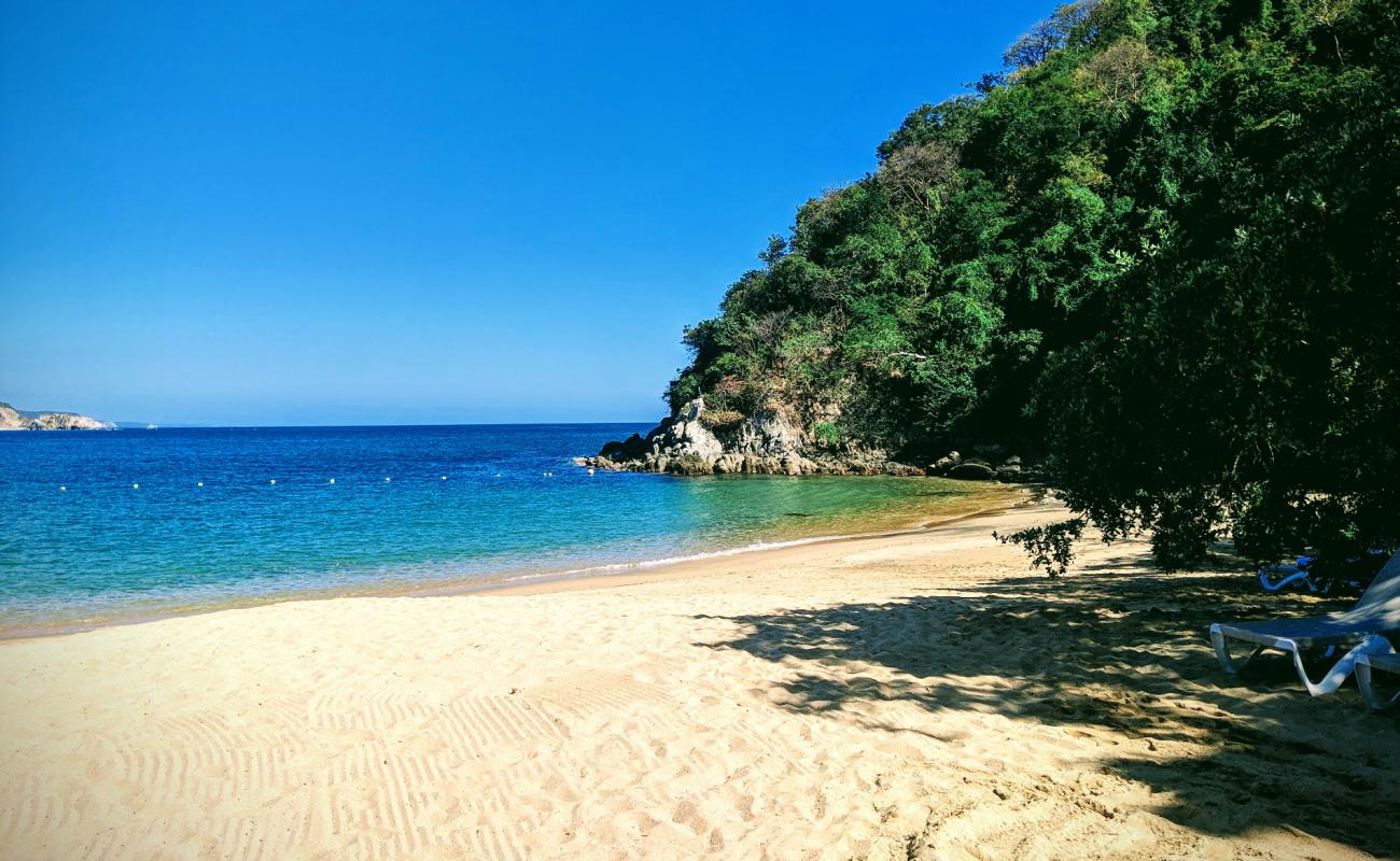 Tejoncito beach'in fotoğrafı i̇nce bej kum yüzey ile