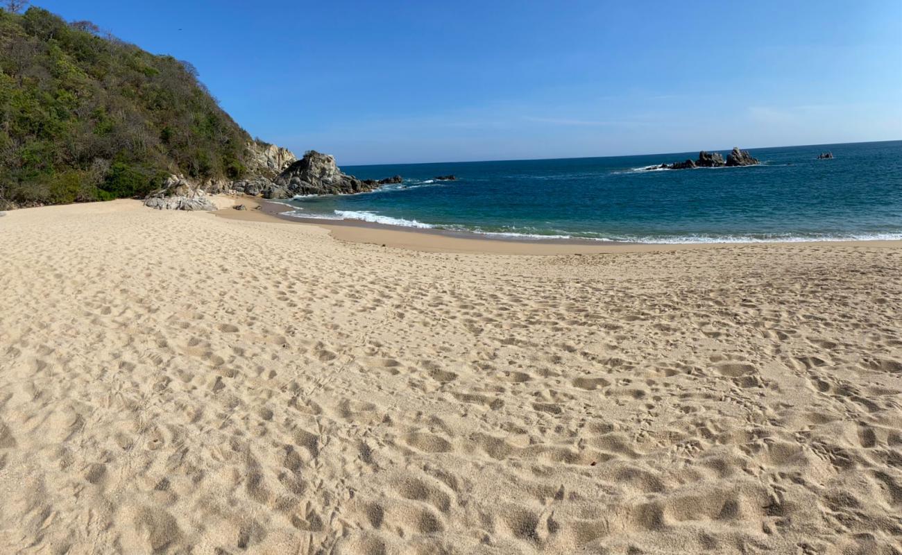 Punta Arena beach'in fotoğrafı parlak ince kum yüzey ile