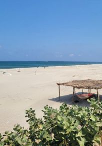 Playa Chipehua