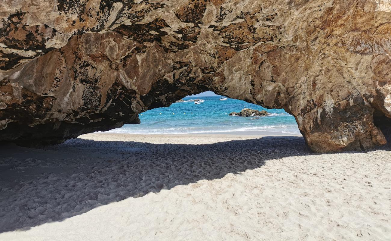 Playa la nopalera beach'in fotoğrafı i̇nce bej kum yüzey ile