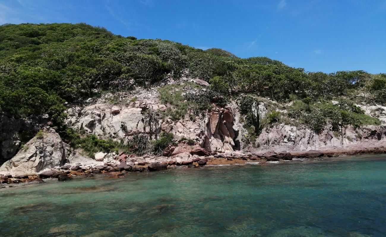 Pajaros beach'in fotoğrafı i̇nce bej kum yüzey ile