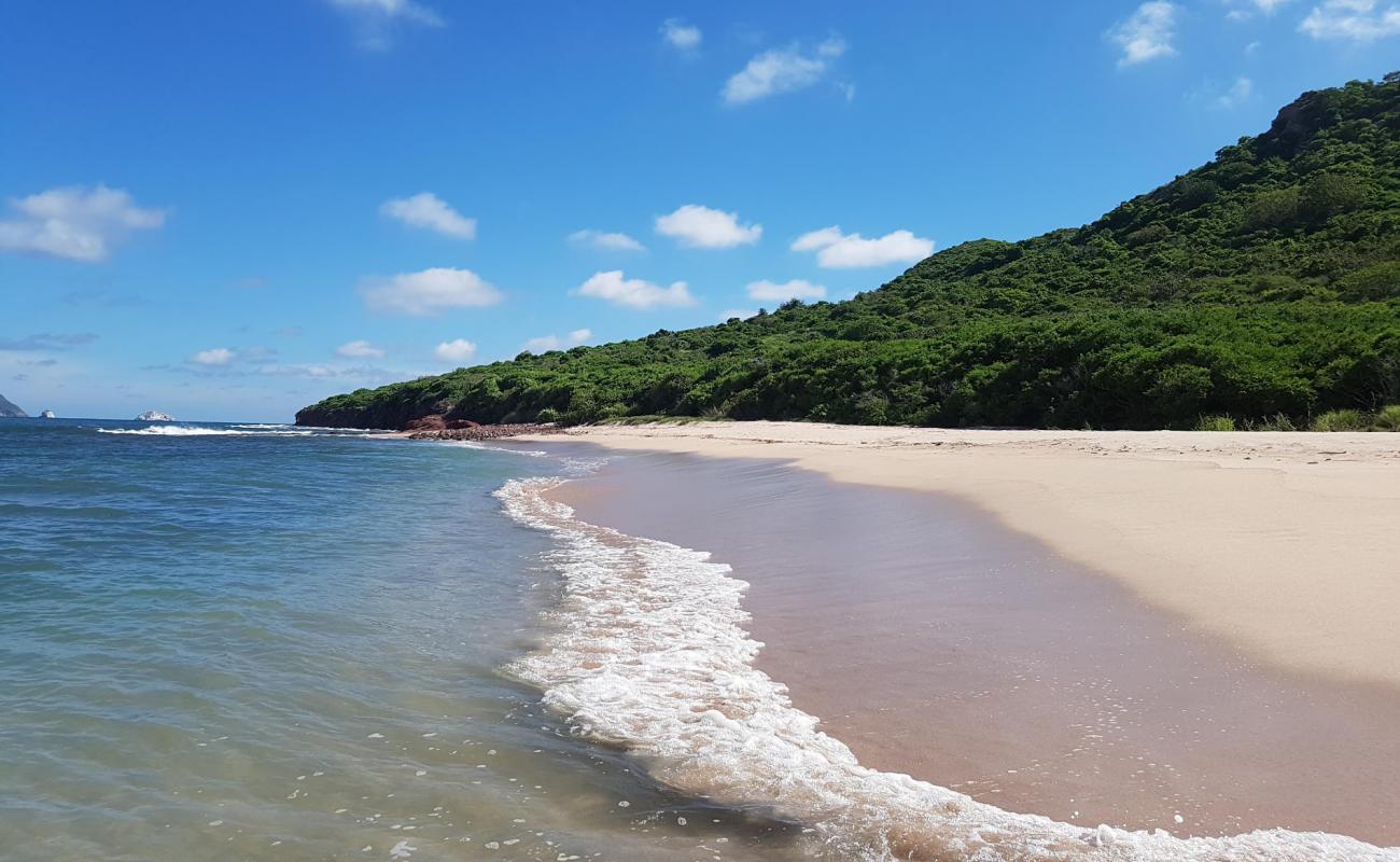 Venados beach'in fotoğrafı i̇nce bej kum yüzey ile