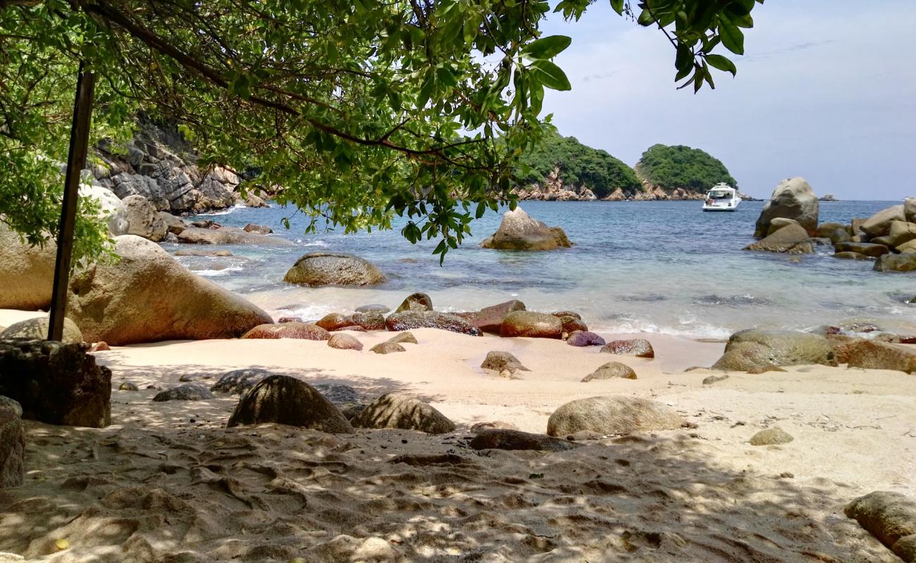 Roqueta Dania beach'in fotoğrafı çakıl ile kum yüzey ile