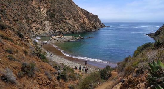 Playa Cocodrilo Ensenada