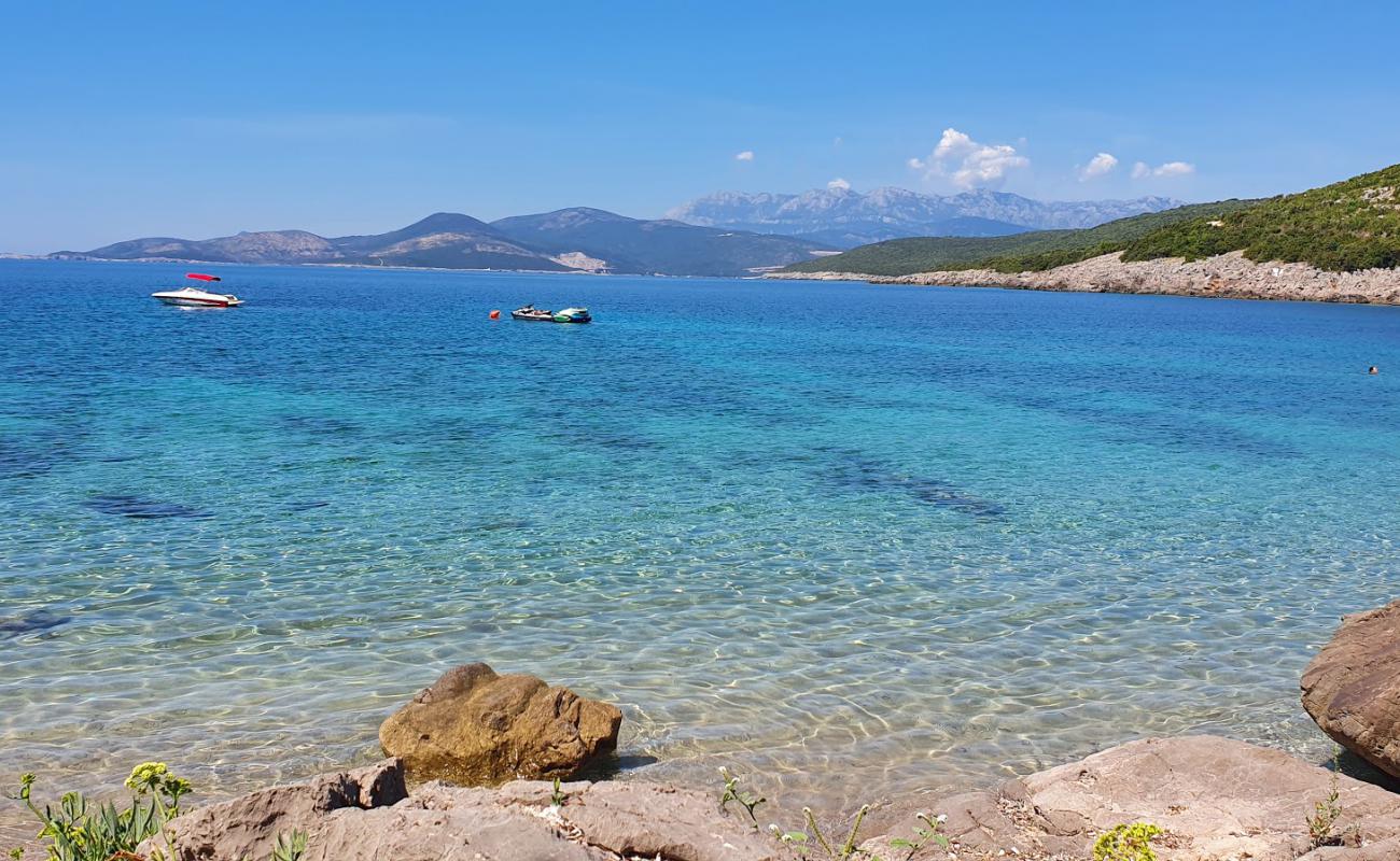 Plazha Zhukovica'in fotoğrafı parlak kum yüzey ile