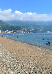 Boreti