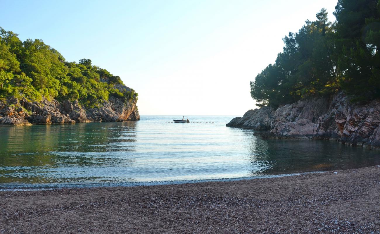 Queen's beach'in fotoğrafı #42 ile birlikte