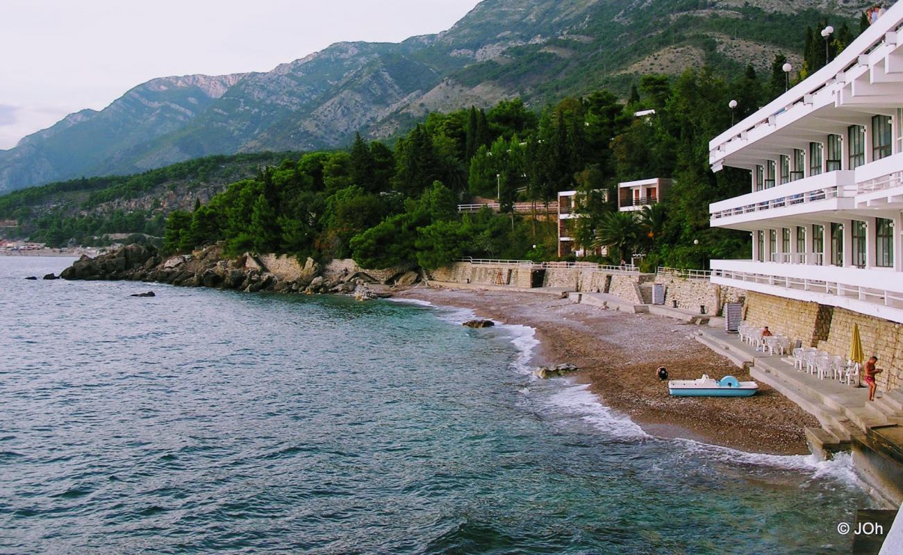 Plazha Zlatna Obala'in fotoğrafı düz bir kıyı şeridi ile birlikte
