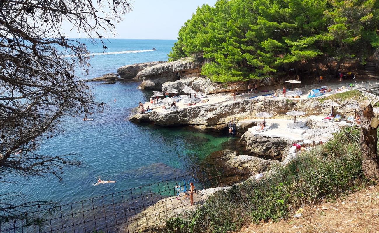 Albatros beach'in fotoğrafı beton kaplı yüzey yüzey ile