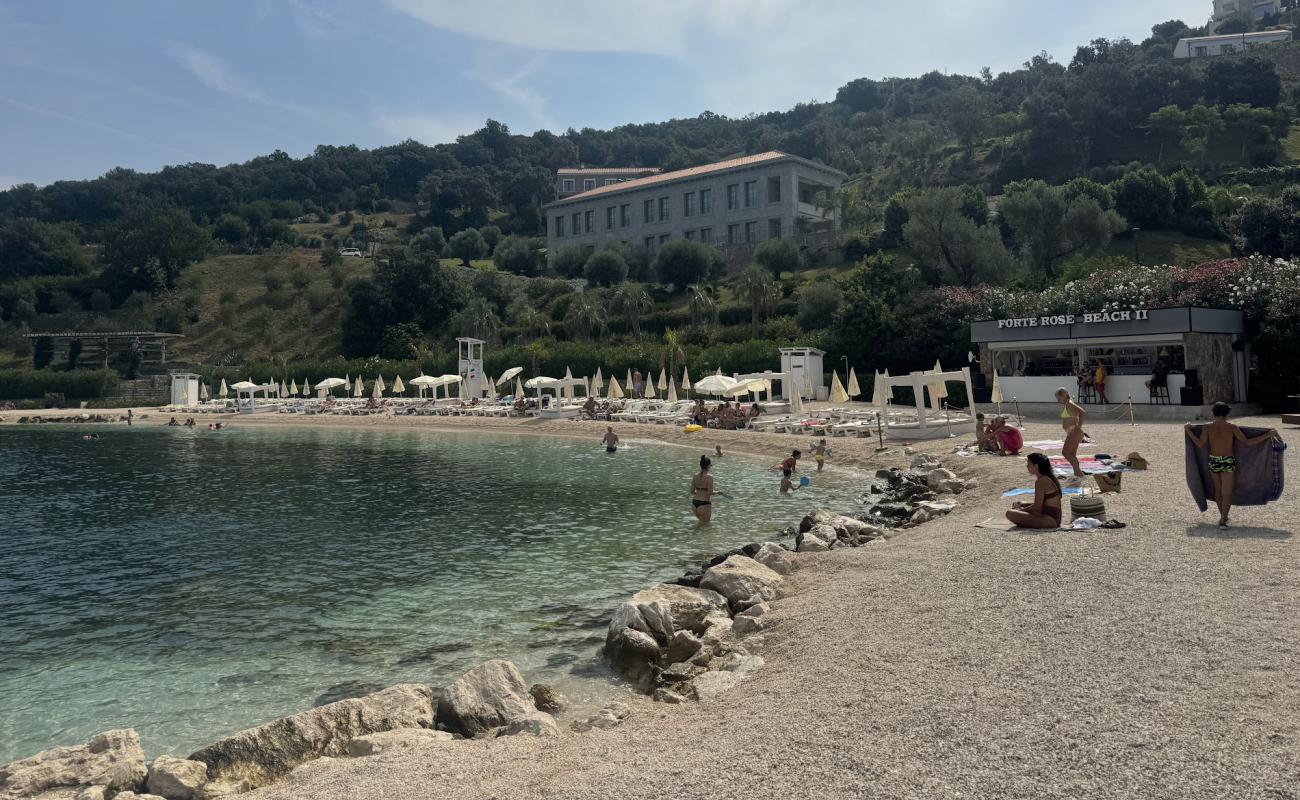 Forte Rose Beach'in fotoğrafı küçük bej çakıl yüzey ile