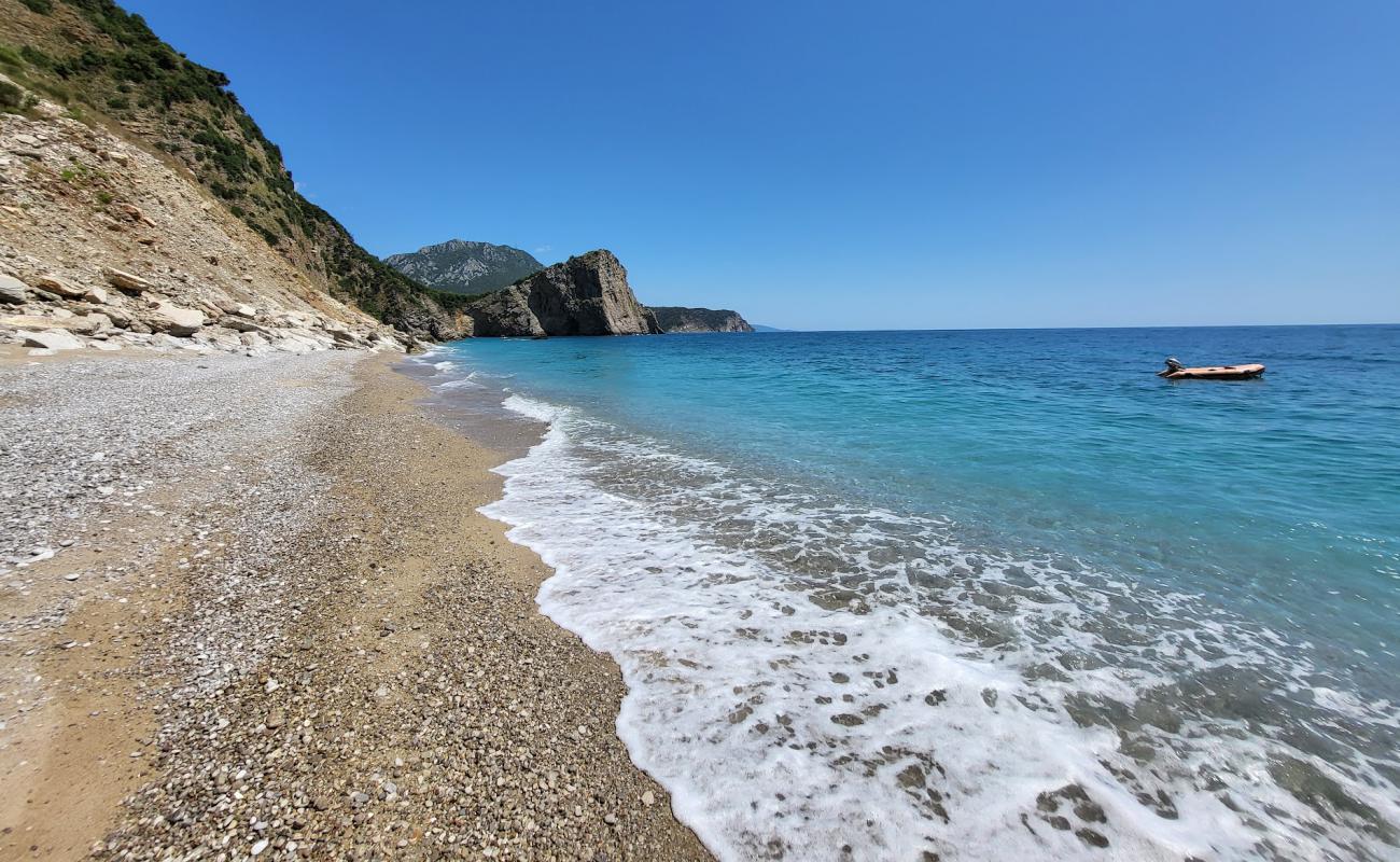 Seagull Beach'in fotoğrafı gri çakıl taşı yüzey ile