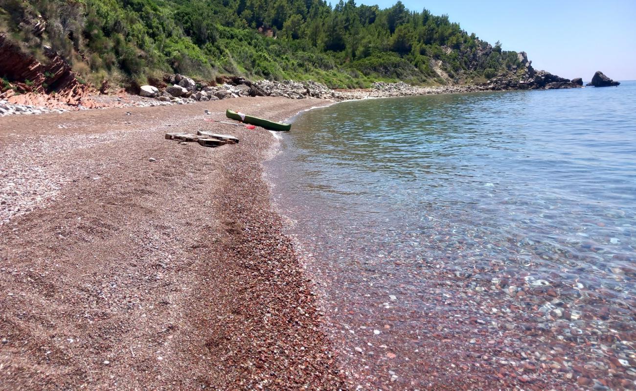 Plaza Mis'in fotoğrafı kahverengi kum yüzey ile
