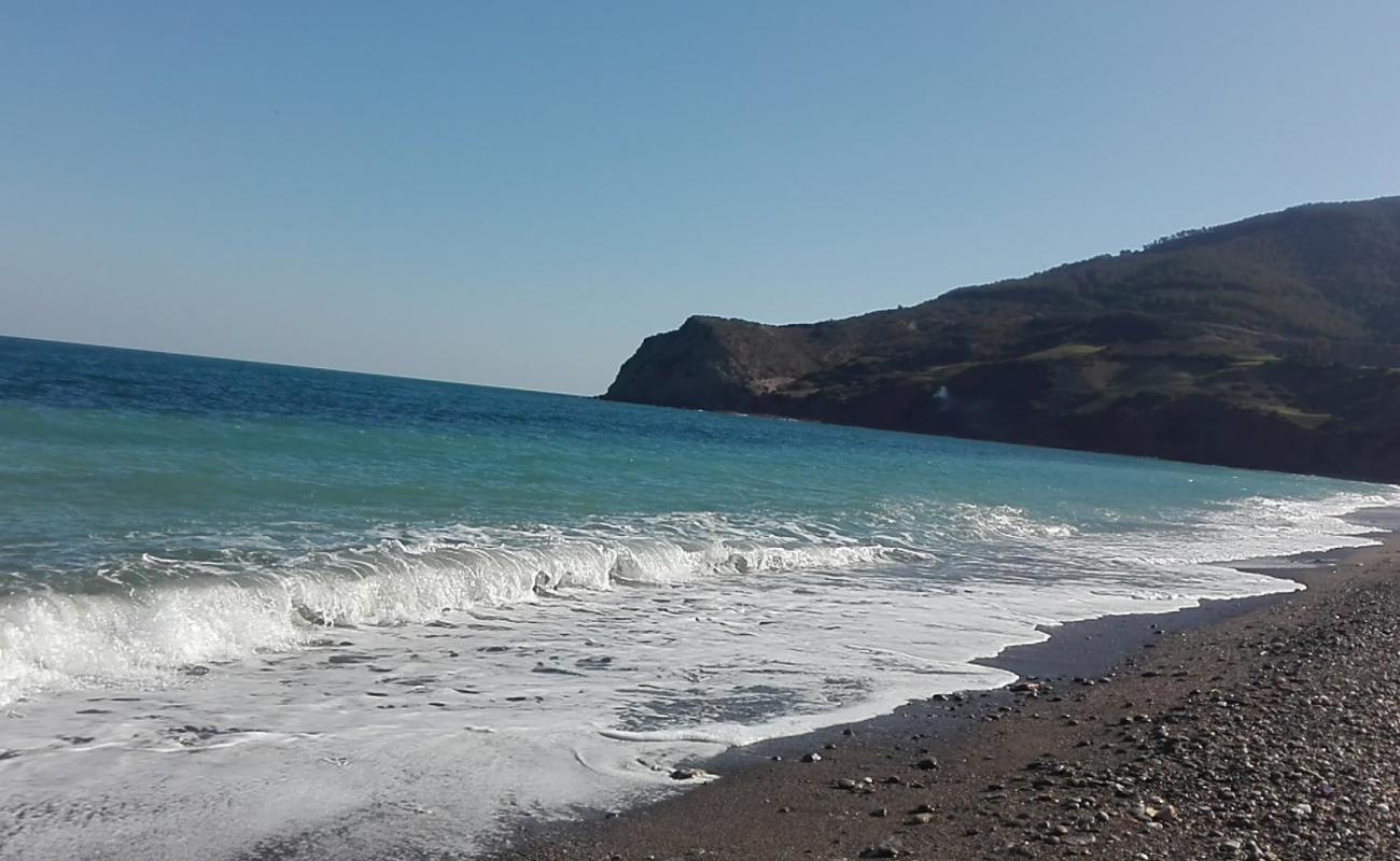 Tamrabet Beach'in fotoğrafı gri kum ve çakıllar yüzey ile