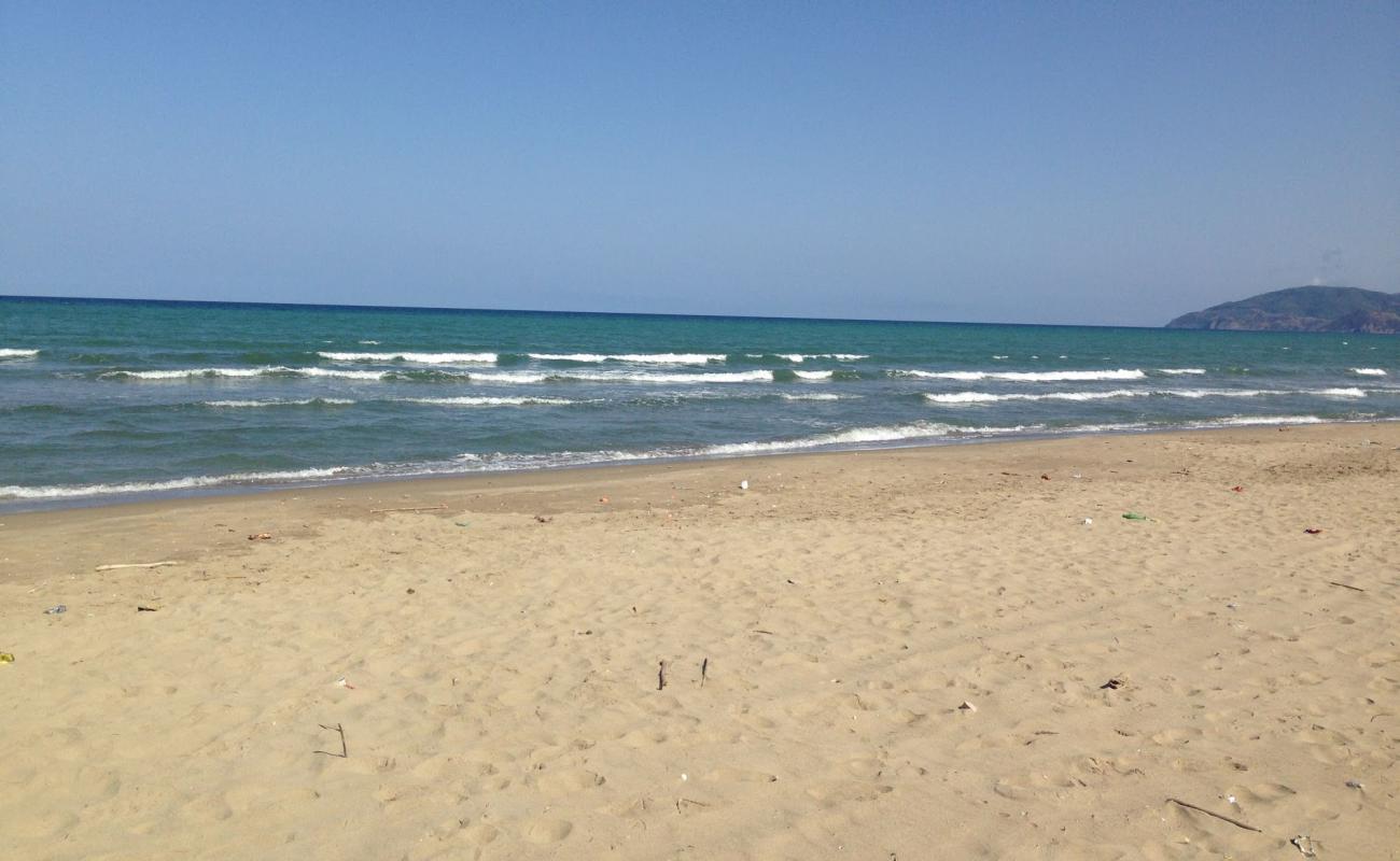 Saidi Abdeslam Beach'in fotoğrafı açık bej kum yüzey ile