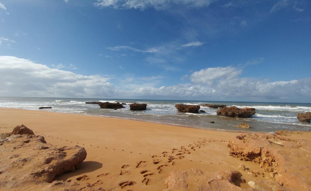 Plage El Bedouzza'in fotoğrafı i̇nce bej kum yüzey ile