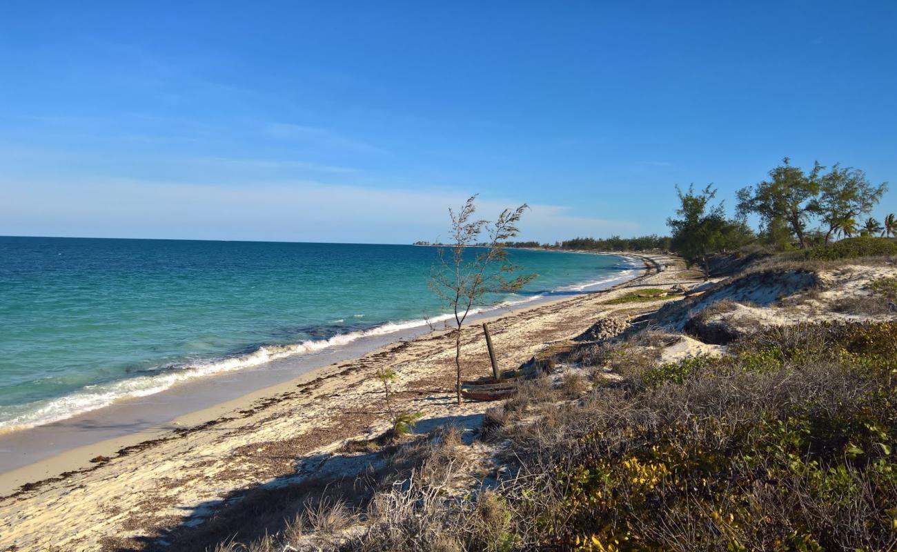 Mossuril Beach'in fotoğrafı beyaz kum yüzey ile