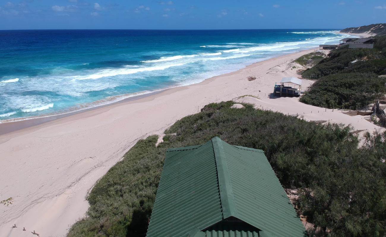 Pomene Beach'in fotoğrafı açık bej kum yüzey ile