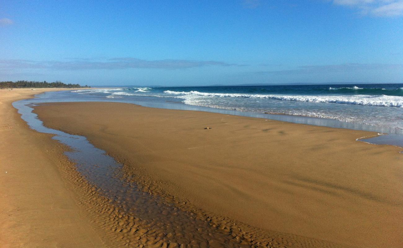 Praia da Barra'in fotoğrafı parlak ince kum yüzey ile