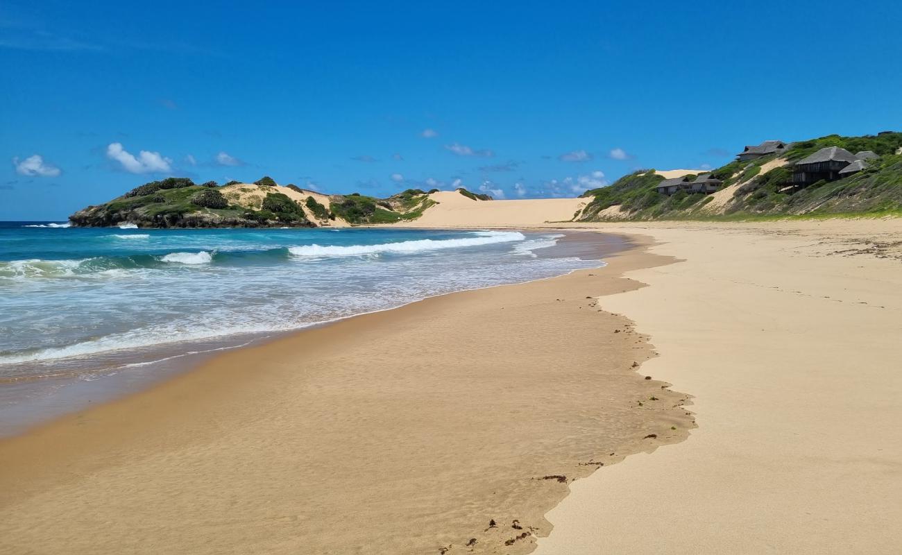 Praia da Rocha'in fotoğrafı parlak kum yüzey ile