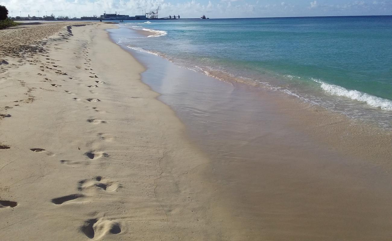 Batts Rock beach'in fotoğrafı parlak kum yüzey ile