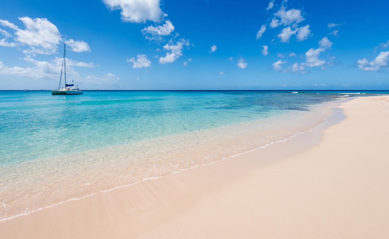 Westshore beach'in fotoğrafı i̇nce bej kum yüzey ile
