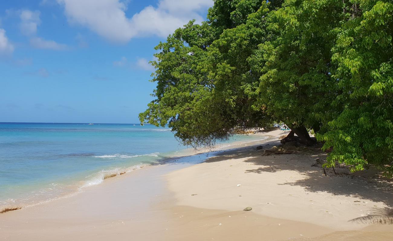 Braddy's beach'in fotoğrafı açık bej kum yüzey ile