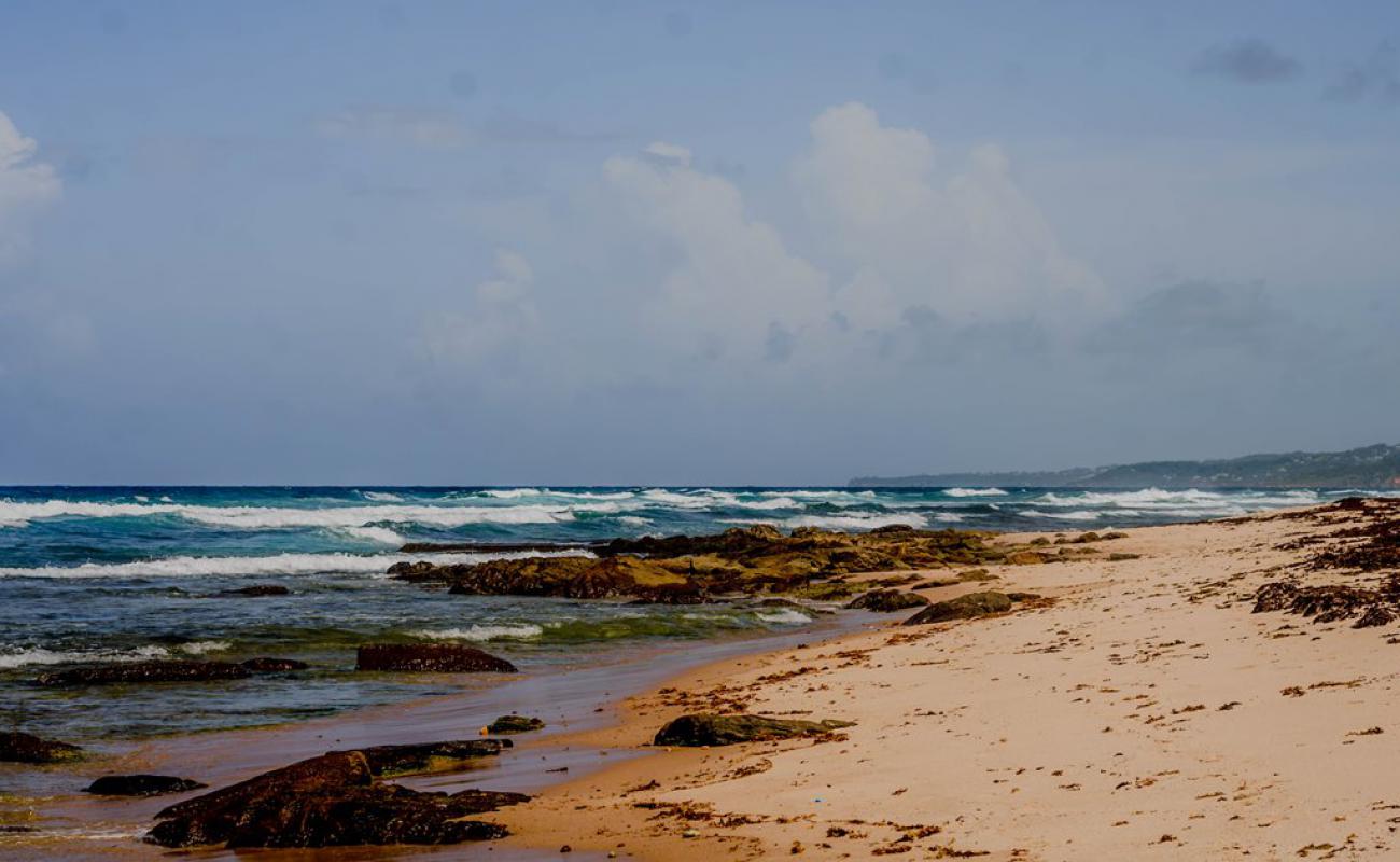 Morgan Lewis beach'in fotoğrafı bej kum ve kayalar yüzey ile