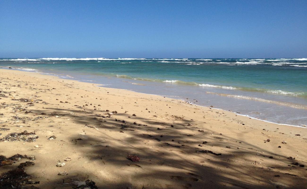 Bath beach'in fotoğrafı açık bej kum yüzey ile