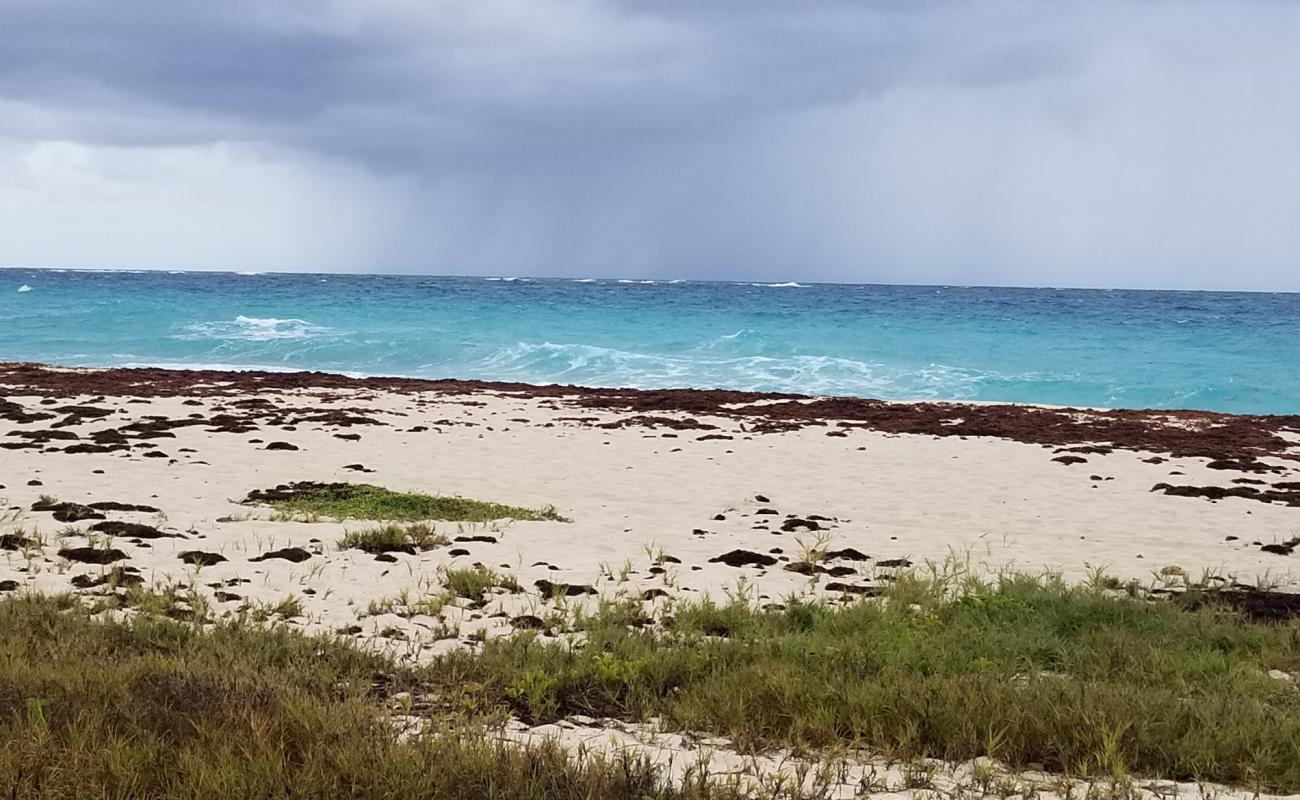 Harrismith beach'in fotoğrafı i̇nce bej kum yüzey ile