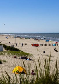 Scheldeveste