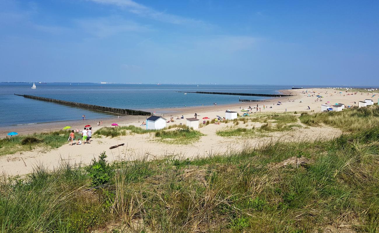 Strand Breskens II'in fotoğrafı açık bej kum yüzey ile