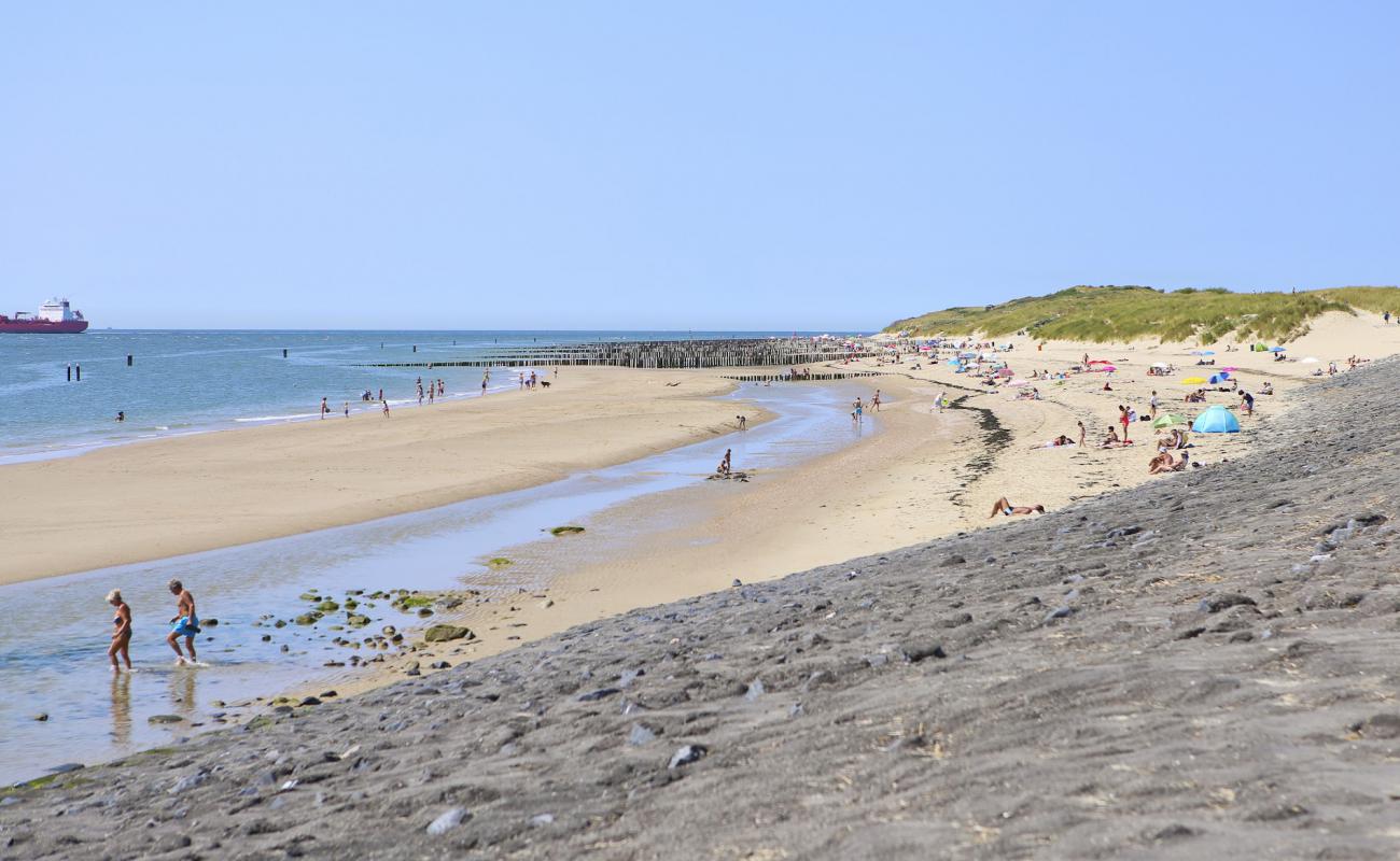 Vlissingen strand'in fotoğrafı gri kum yüzey ile