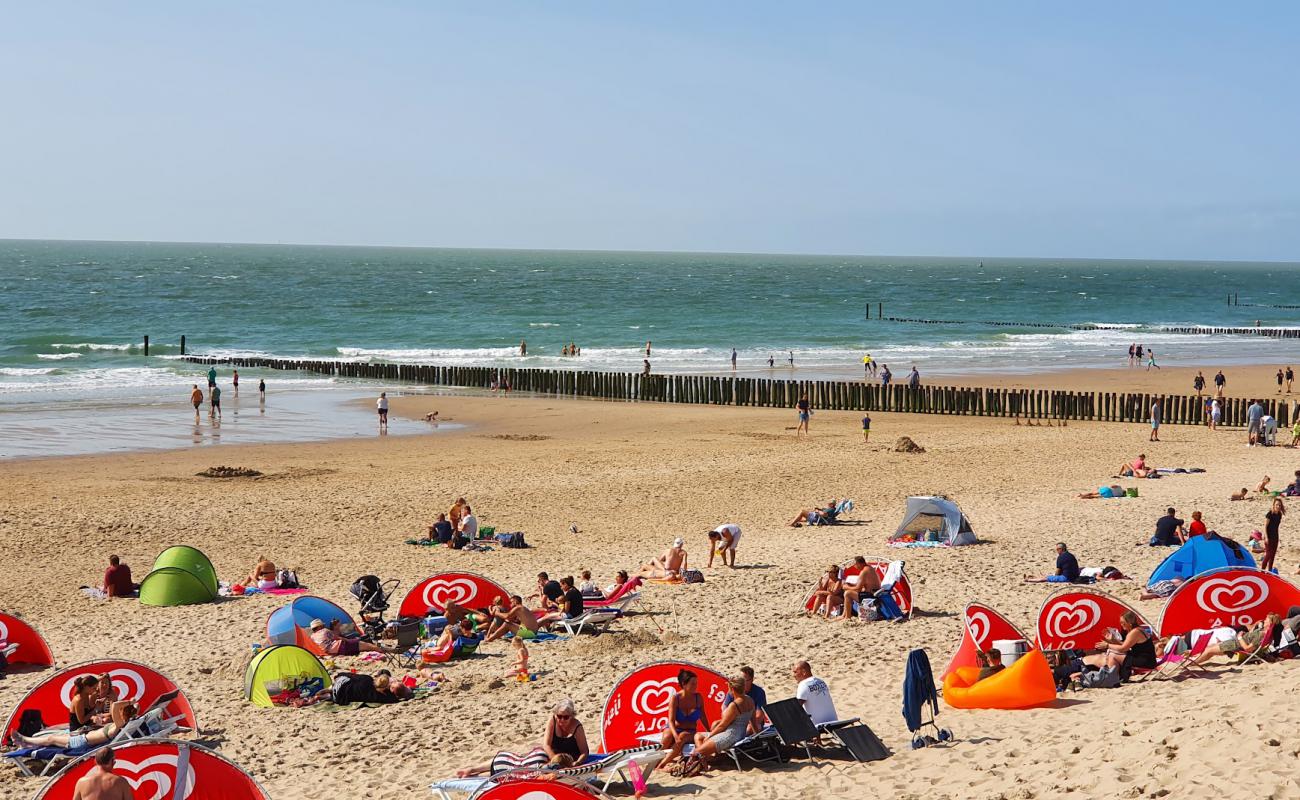 Zoutelande beach II'in fotoğrafı parlak kum yüzey ile