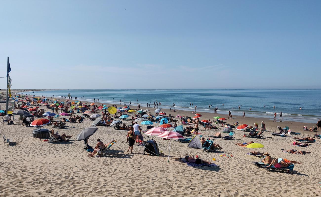 Renesse beach II'in fotoğrafı açık bej kum yüzey ile