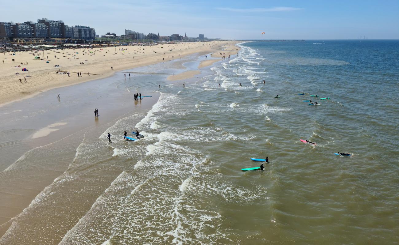 Scheveningen Strand'in fotoğrafı parlak kum yüzey ile