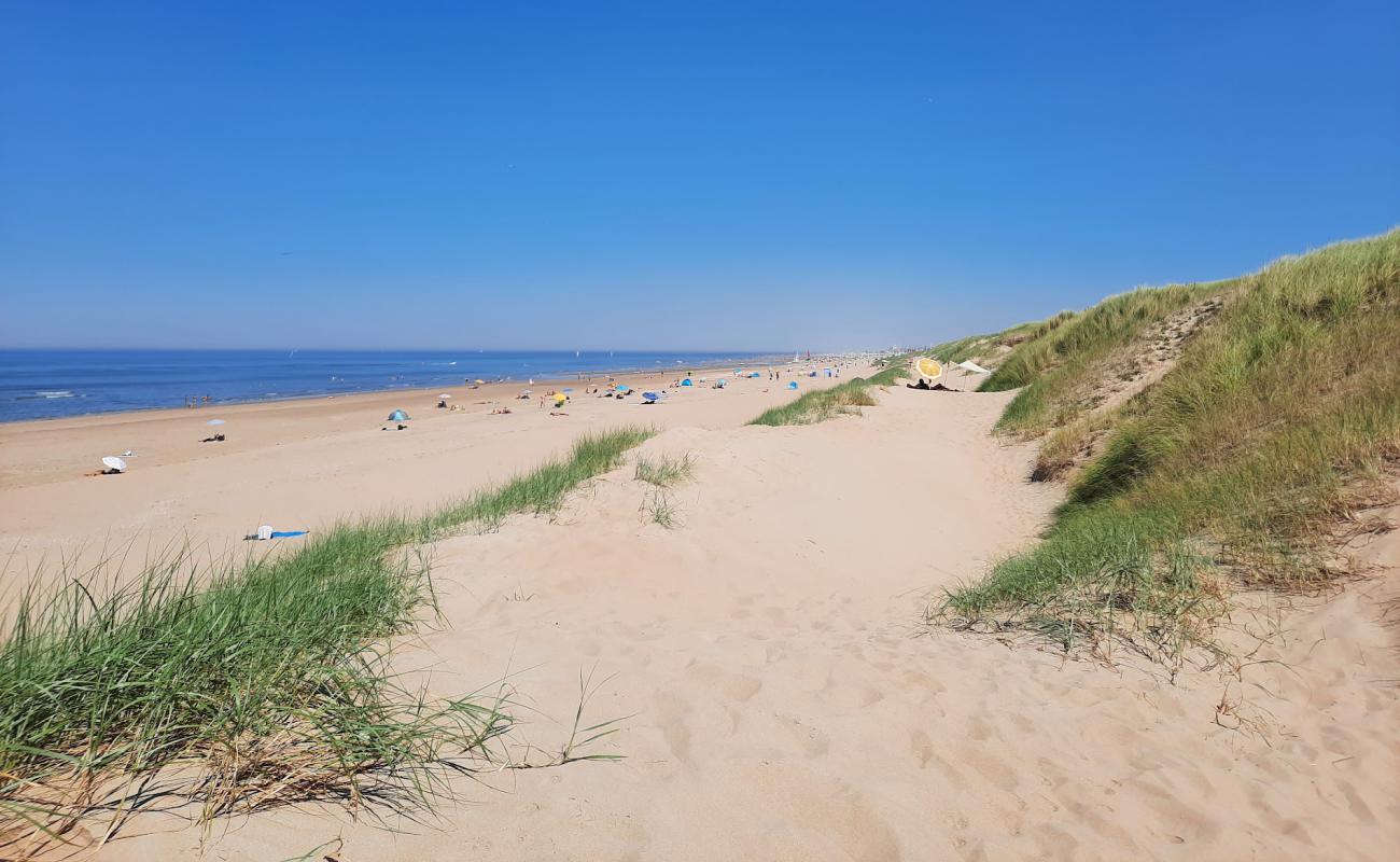 Katwijk Beach FKK'in fotoğrafı açık bej kum yüzey ile