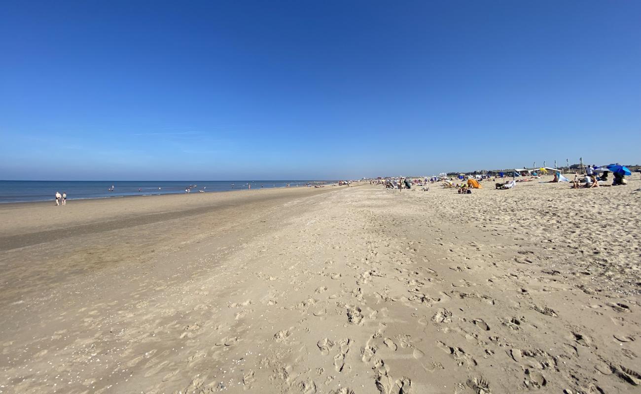Katwijk Beach'in fotoğrafı açık bej kum yüzey ile