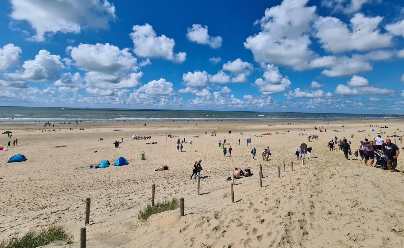 Parnassia aan Zee'in fotoğrafı parlak kum yüzey ile