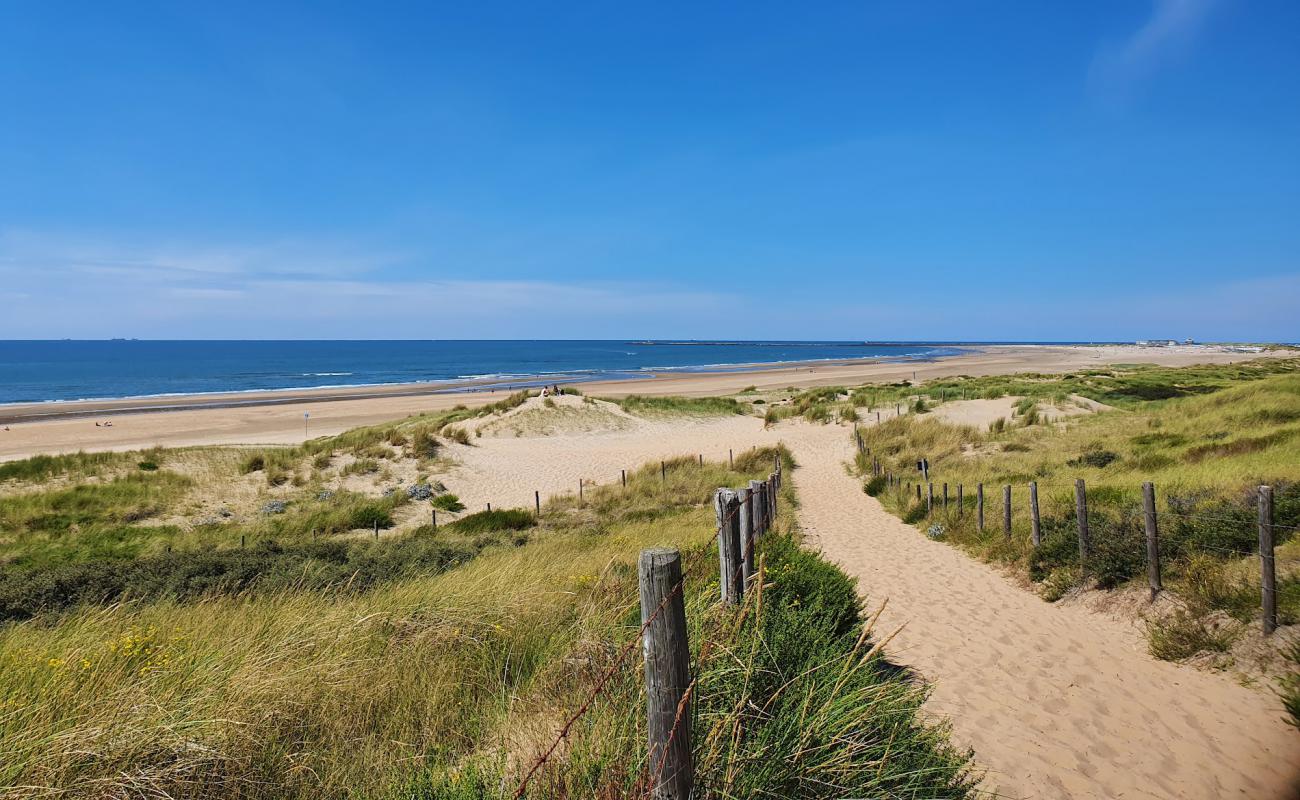 IJmuiden Plajı'in fotoğrafı parlak kum yüzey ile