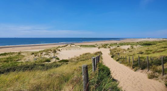 IJmuiden Plajı