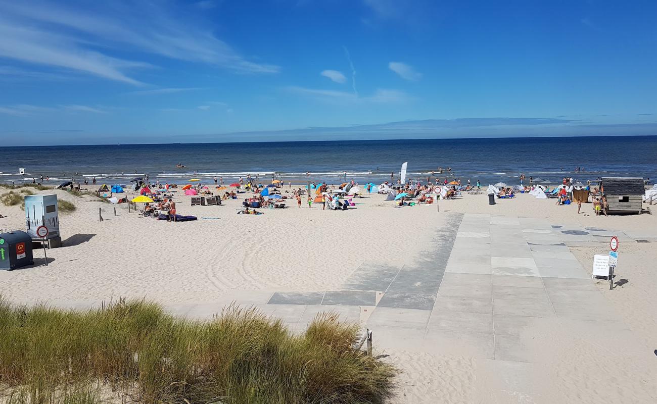 Petten aan Zee Beach'in fotoğrafı açık bej kum yüzey ile