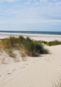 Texel Adası